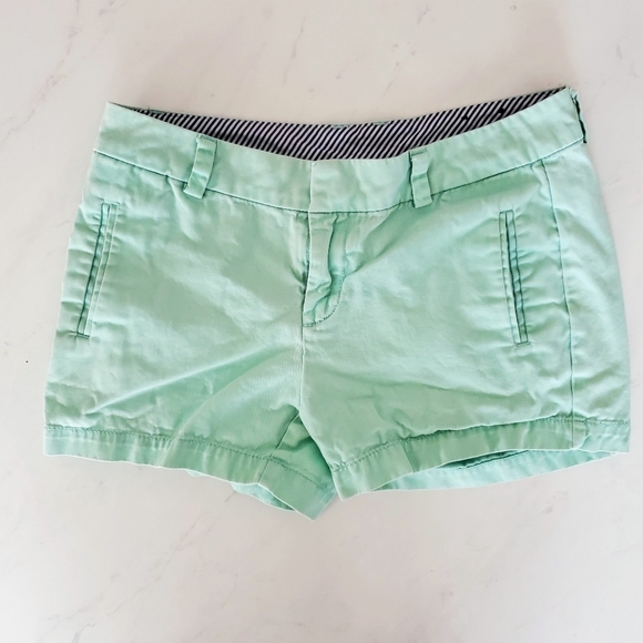 STYLUS Pants - Stylus Mint Green Shorts 2